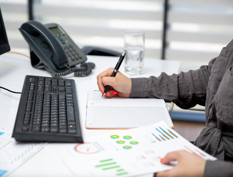 Audit Support Services